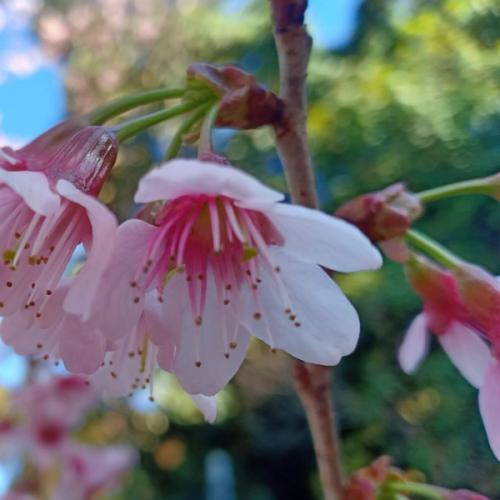 สมาชิกหมายเลข 6786232