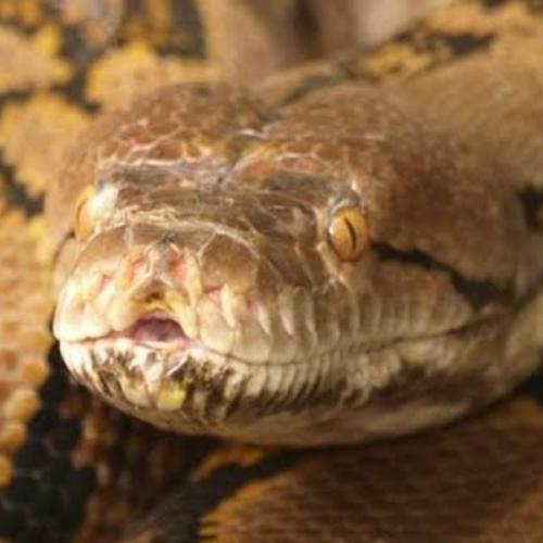 สมาชิกหมายเลข 7558964