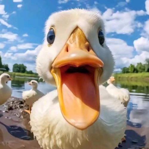 สมาชิกหมายเลข 8475973