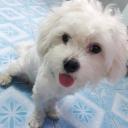 สมาชิกหมายเลข 4002736