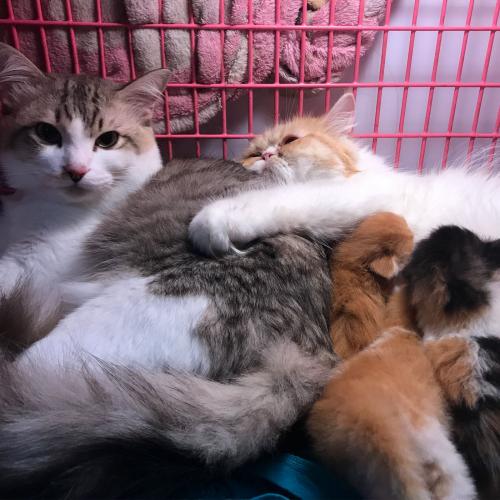 สมาชิกหมายเลข 4002746