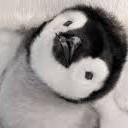 สมาชิกหมายเลข 4003372