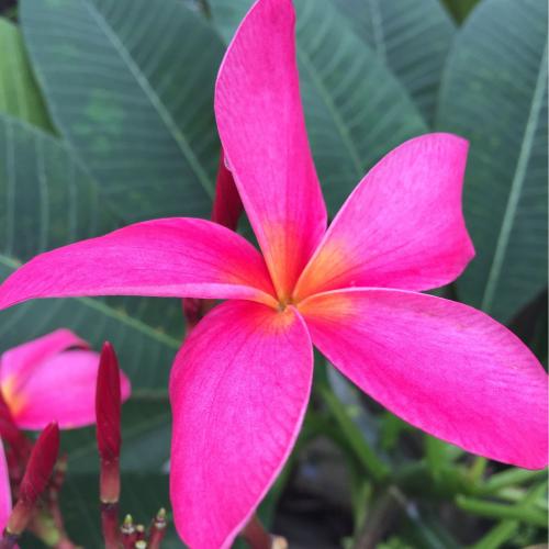 สมาชิกหมายเลข 729387