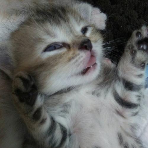 สมาชิกหมายเลข 1321916