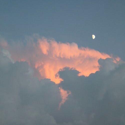 สมาชิกหมายเลข 4825512