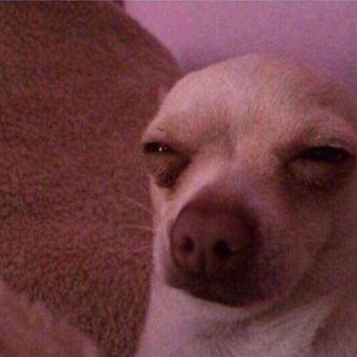 สมาชิกหมายเลข 5186339