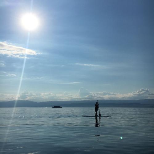 สมาชิกหมายเลข 5186345