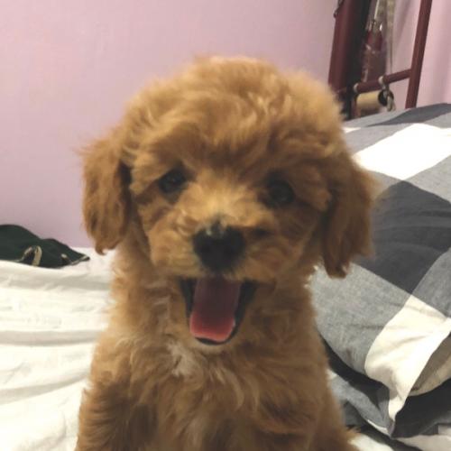 สมาชิกหมายเลข 2353546