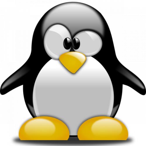 สมาชิกหมายเลข 5576244