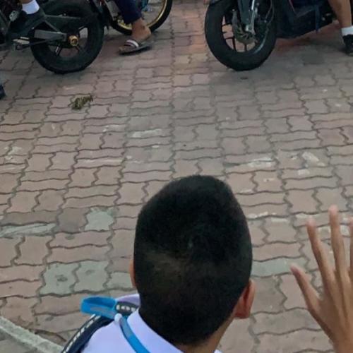 สมาชิกหมายเลข 5590582