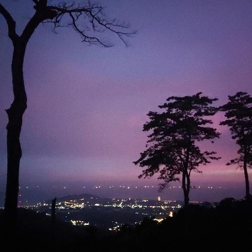 สมาชิกหมายเลข 5233650