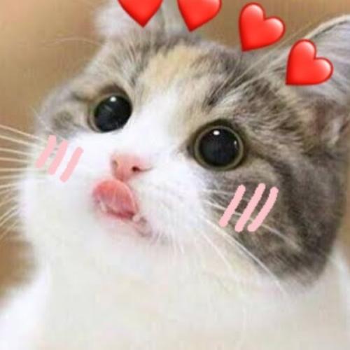 สมาชิกหมายเลข 5652311