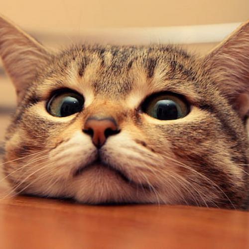 สมาชิกหมายเลข 1042938