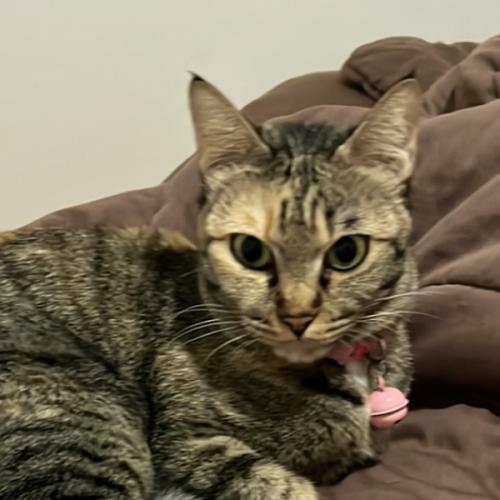 สมาชิกหมายเลข 3889133