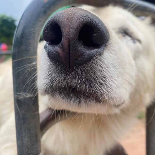 สมาชิกหมายเลข 6334052