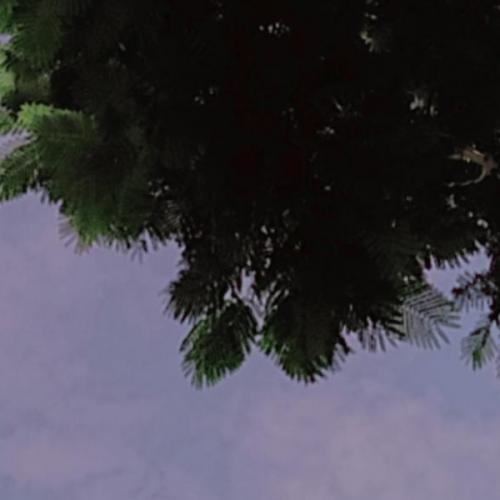 สมาชิกหมายเลข 4678691