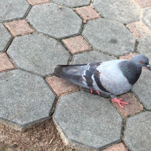 สมาชิกหมายเลข 6147814