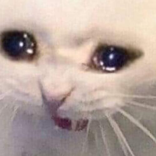 สมาชิกหมายเลข 7560465