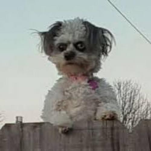 สมาชิกหมายเลข 7560917