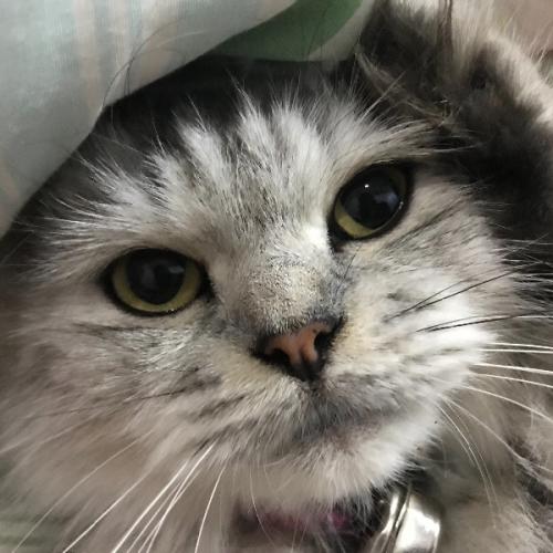 สมาชิกหมายเลข 2247114