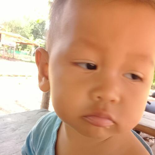 สมาชิกหมายเลข 4805090