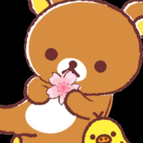 สมาชิกหมายเลข 4805204