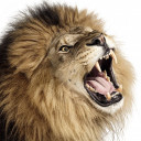 สมาชิกหมายเลข 3698881