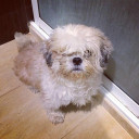 สมาชิกหมายเลข 5183874