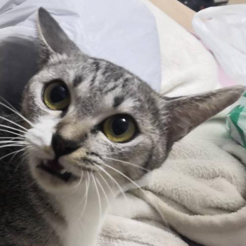 สมาชิกหมายเลข 5595311