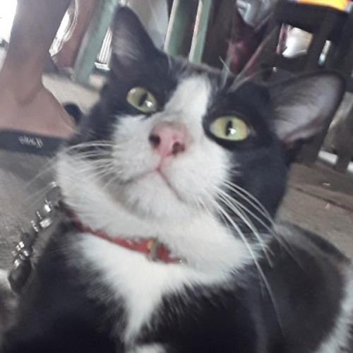 สมาชิกหมายเลข 5595416