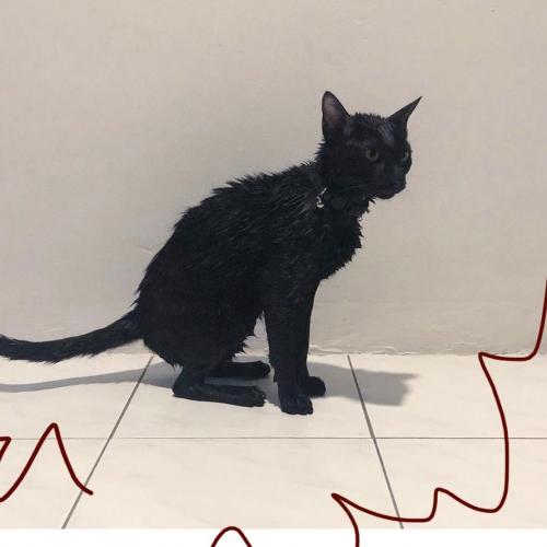 สมาชิกหมายเลข 5884154