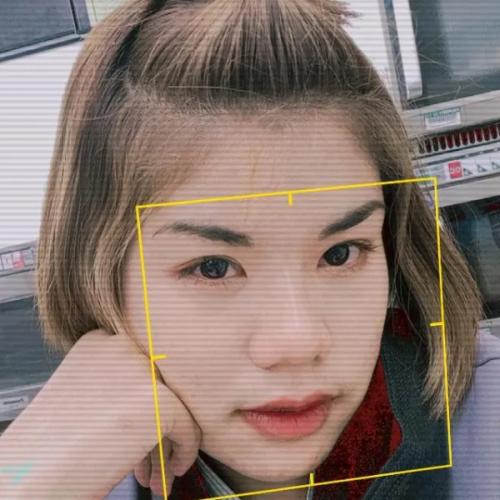 สมาชิกหมายเลข 6788242