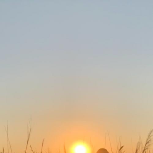 สมาชิกหมายเลข 2432423