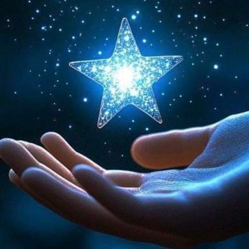 สมาชิกหมายเลข 2522398