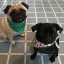 สมาชิกหมายเลข 4469403