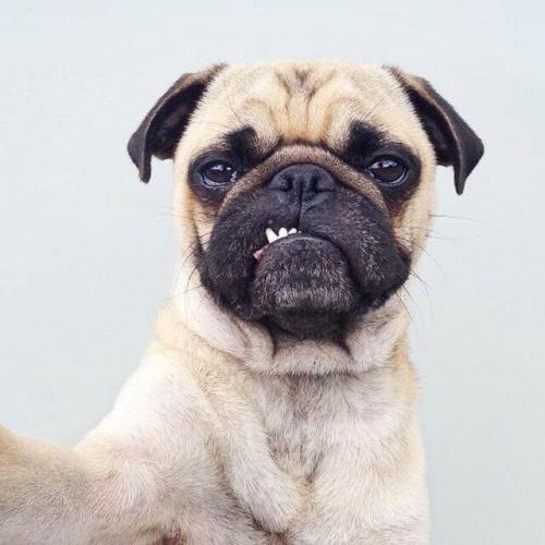 สมาชิกหมายเลข 4469448