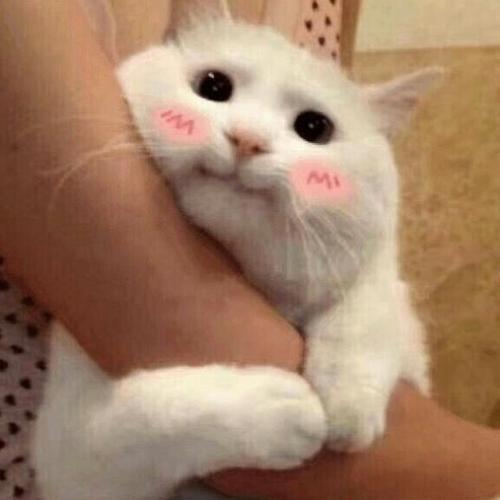 สมาชิกหมายเลข 5589993