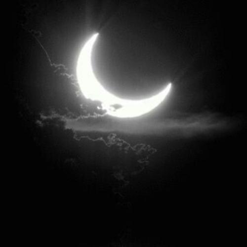 สมาชิกหมายเลข 6159989