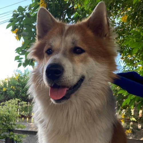 สมาชิกหมายเลข 6789188