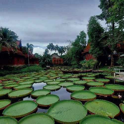 สมาชิกหมายเลข 6789292