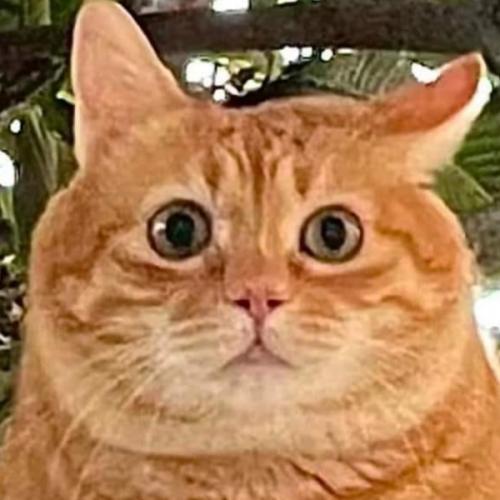 สมาชิกหมายเลข 8479877