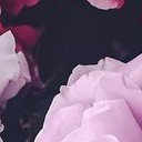 สมาชิกหมายเลข 3811495