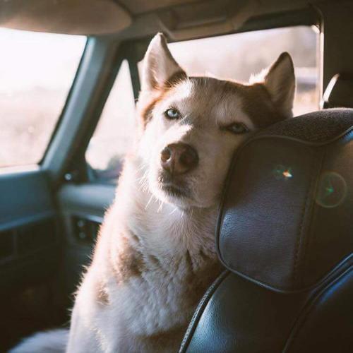 สมาชิกหมายเลข 2216680