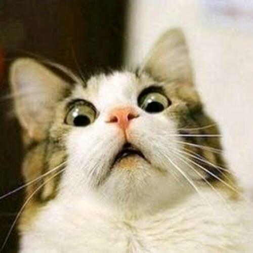 สมาชิกหมายเลข 2959379