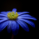 สมาชิกหมายเลข 4806192