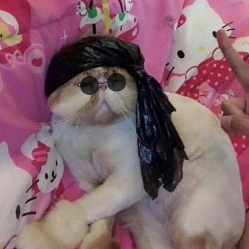 สมาชิกหมายเลข 5116567