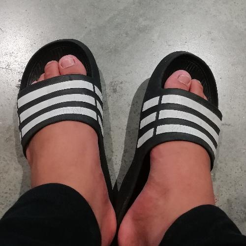 สมาชิกหมายเลข 5175236