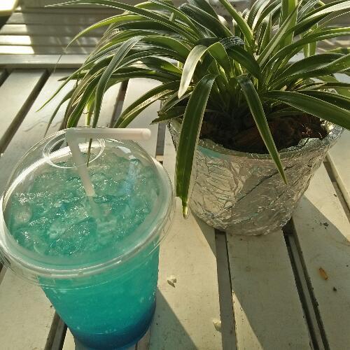 สมาชิกหมายเลข 5187199