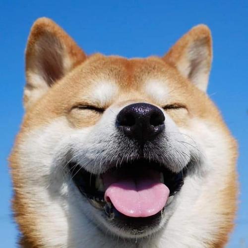 สมาชิกหมายเลข 5187805