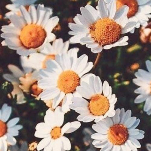 สมาชิกหมายเลข 6158994